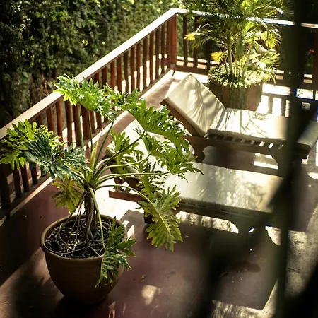 Lodge Onsea House & Machweo Retreat