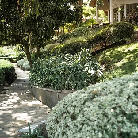 Lodge Onsea House & Machweo Retreat *
